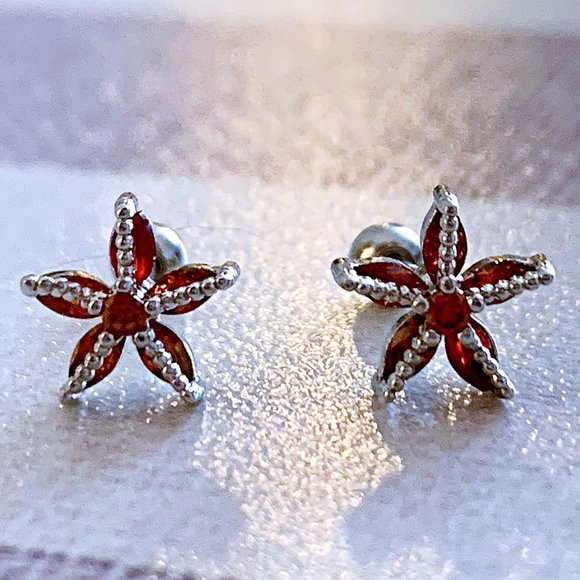 Starfish Jeweled Stud Earring Set - Picture 3 of 5